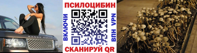 Псилоцибиновые грибы Psilocybe  Новый Оскол 